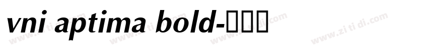vni aptima bold字体转换